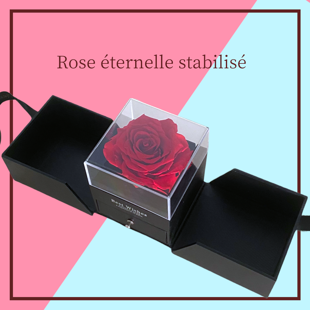 Rose éternelle stabilisé Surprise