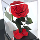 Rose éternelle sous cloche Rouge 12*22cm