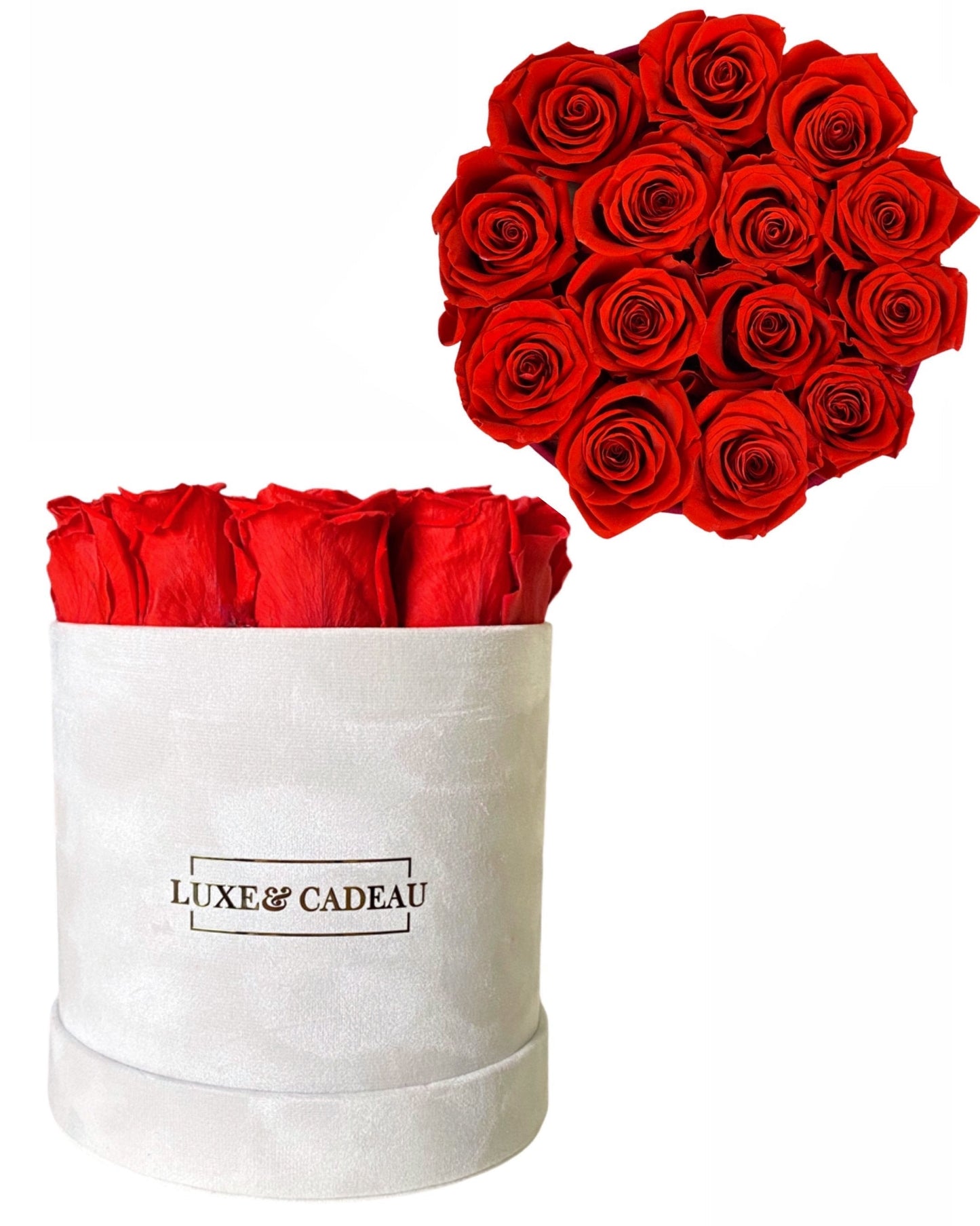 Collection bouquets roses éternelles 100% naturelle • BOX VELVET •