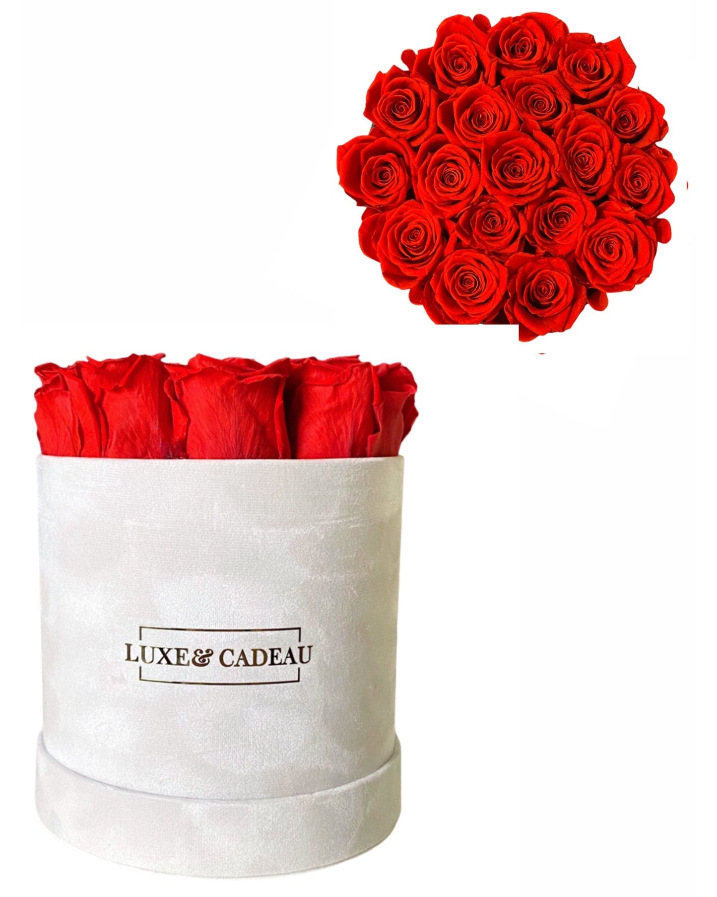 Collection bouquets roses éternelles 100% naturelle • BOX VELVET •