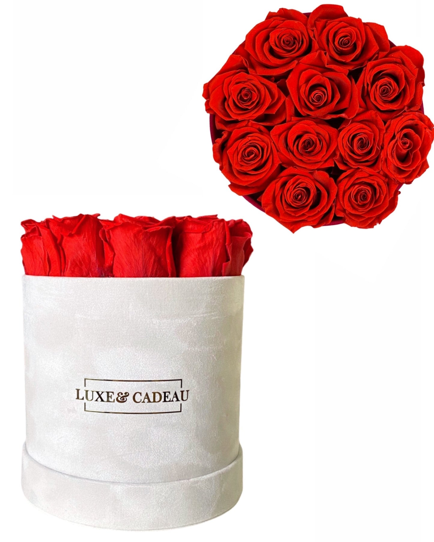 Collection bouquets roses éternelles 100% naturelle • BOX VELVET •